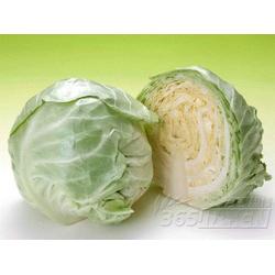 廣東糖類產品與蔬菜的批發、供應及廠家資源整合